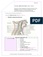 ANATOMIE DU COU MAJ - Fiche Complète