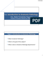 Introduction To Anatomic Pathology: Dra. Maite Fernández Figueras