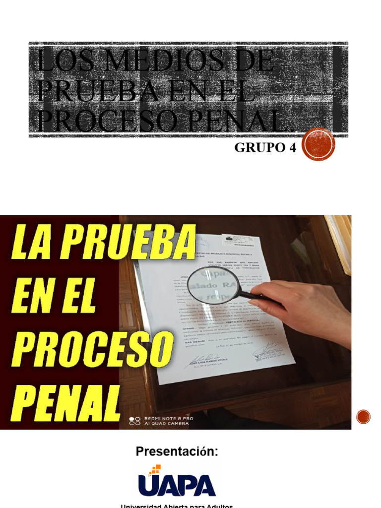 Medios de Prueba en El Proceso Penal | PDF | Evidencia (ley) | Ley procesal