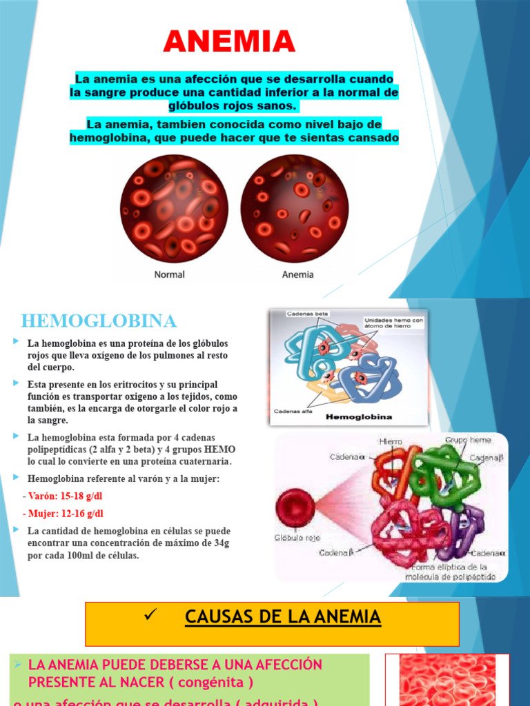 Síntomas y causas de la anemia | PDF | Anemia | Glóbulo rojo