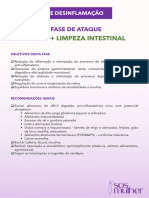 Detox + Limpeza Intestinal: Fase de Ataque