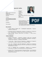 Curriculum Nilda Figueredo