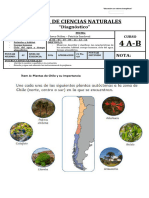 Prueba Diagnóstico Ciencias 4tro