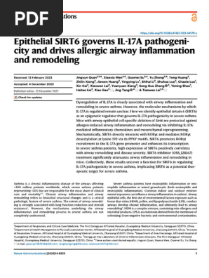 Epithelial SIRT6 Governs IL-17A Pathogenicity and Drives Allergic