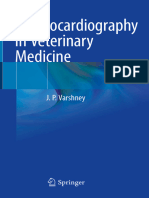 Electrocardiography in Veterinarary Medicine (VetBooks - Ir)