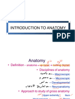 1-Body Position & Anatomical Terms - 220925 - 090331