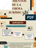 9 - Elementos de La Norma Juridica