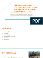 Artigo PTRF - Apresentação