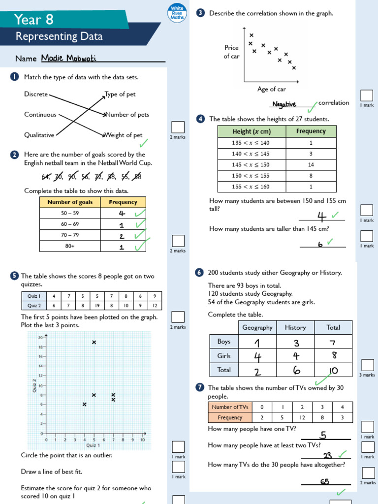 Year 8 Representing Data | PDF