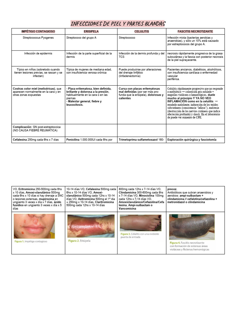 Infecciones De Piel Y Partes Blandas Pdf
