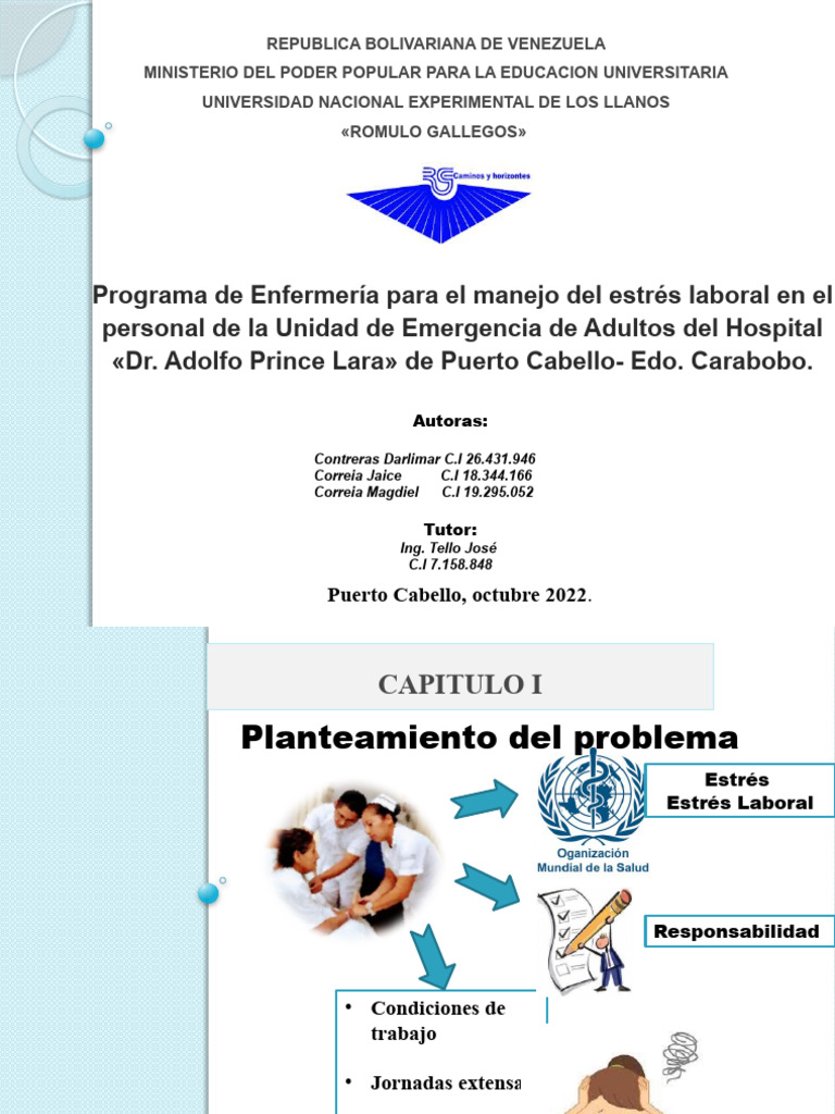 Programa de Manejo del Estrés Laboral en Enfermería | PDF | Estrés ...