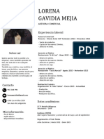 CV - Lorena Gavidia Actualizado