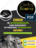 Brochure Clinica Bovina