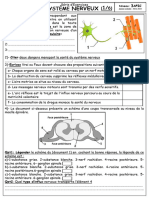 Série D'exercice - Système Nerveux