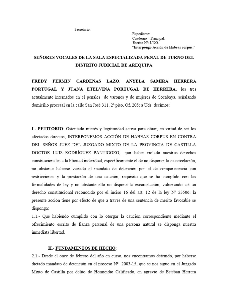 Demandas de Accion de Amparo 3 | PDF | Habeas corpus | Derecho laboral