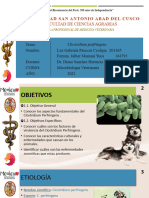 Clostridium Perfringens Presentación