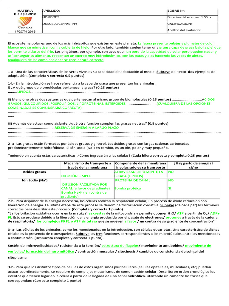 PRIMER PARCIAL T1 2C 2019 Con Respuestas | PDF | Ciencia y matemáticas
