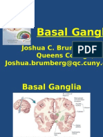 Basal Ganglia