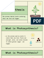 Photosynthesis Science Presentation in Green Beige Illustrative Style