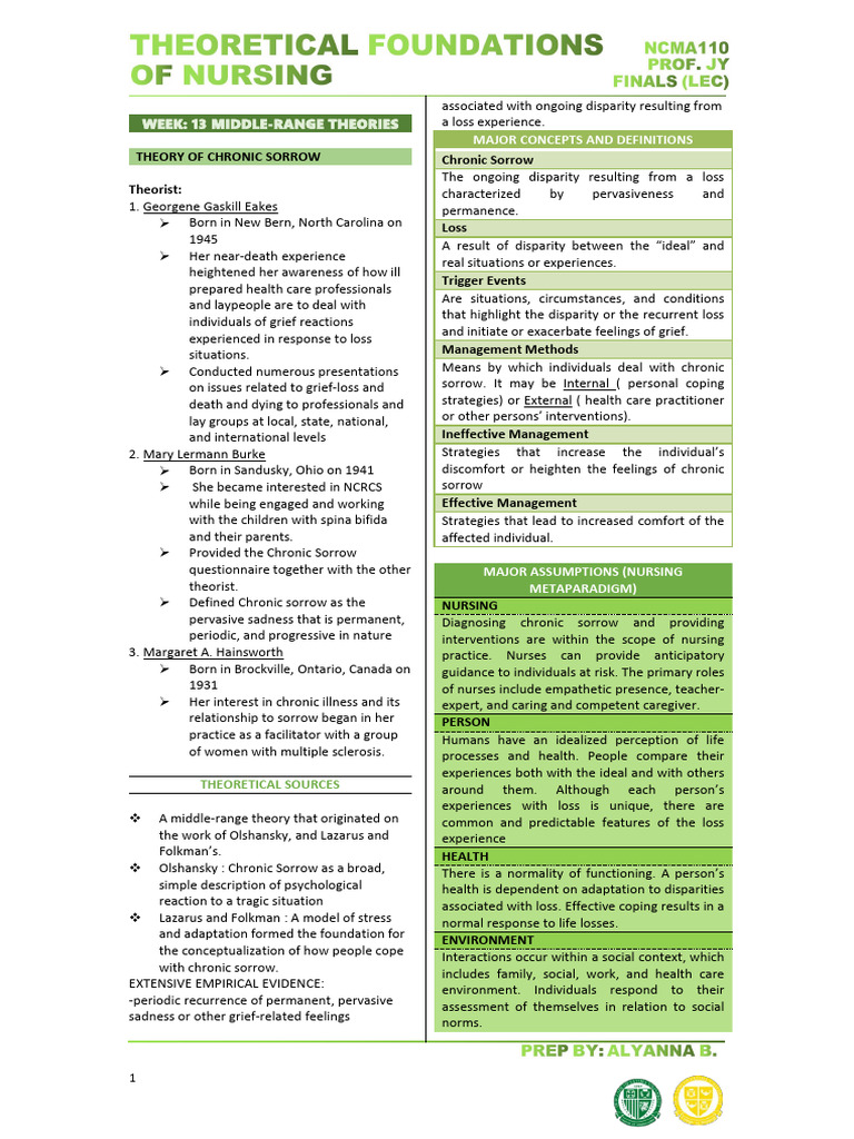 Understanding Chronic Sorrow Theory | PDF | Postpartum Depression ...
