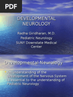 Download Developmental Neuro Lecture by api-3784483 SN6952393 doc pdf