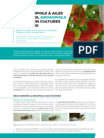 04 - Fiche - Ecopad - Drosophila en Culture de Fraises - FR