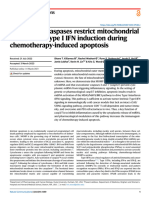 Executioner Caspases Restrict Mitochondrial RNA-driven Type I IFN Induction During Chemotherapy-Induced Apoptosis