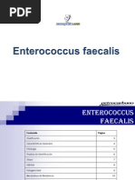 Download enterococcus-faecalis by Laura Gamez SN69527383 doc pdf