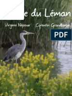 VIRGINIE NEPOUX-La Fee Du Leman
