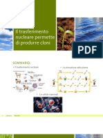 Power Point Cloni (Biologia)