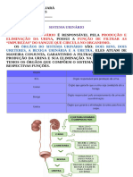 PCDs - ATIVIDADE TODOS OS ANOS - MÊS 11 - 19 ATÉ 25