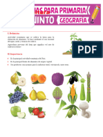 La Agricultura para Quinto Grado de Primaria