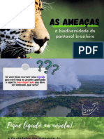 Cópia de As Ameaças À Biodiversidade Do Pantanal Brasileiro