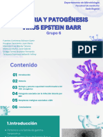 Historia Y Patogénesis Virus Epstein Barr