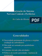 Vascularização Do SNC, Barreiras Encefálicas, e Circulação Liquórica