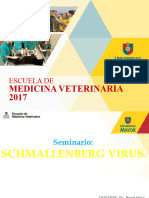 Schmallenber Virus