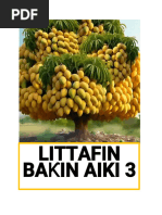 Baƙin Aiki 3 Real