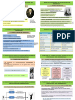 Perspectivas Teóricas de La Psicología Del Desarrollo