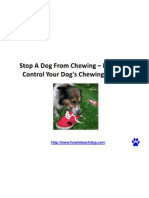 Stop A Dog From Chewing - How To Control Your Dog's Chewing Habit