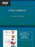 Aula de Sistema Endocrino