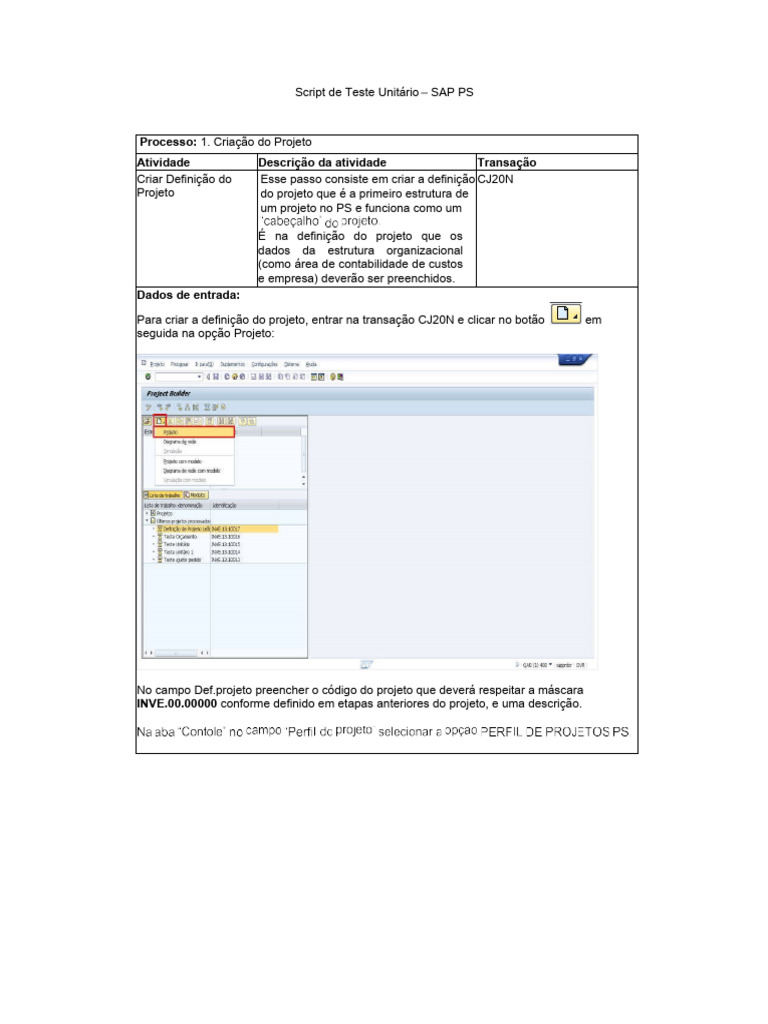 Teste Unitário SAP PS: Criação de Projetos | PDF | Orçamento | Teste de ...