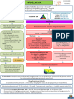 GIDEP Hipoglucemia