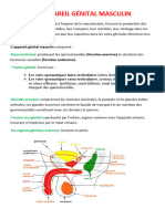 01 - App Génital Masculin2017