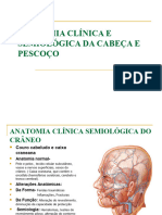 Anatomia Semiológica Da Cabeça e Pescoço