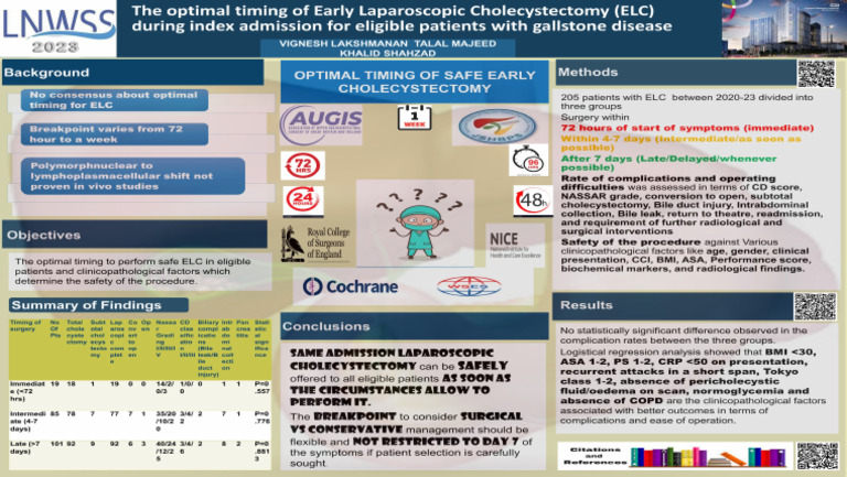 LNWSS Poster Template | PDF