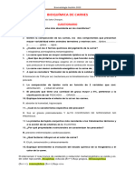 Cuestionario - BIOQUÍMICA DE CARNES - 2023