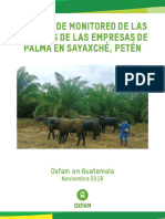 Informe de Monitoreo de Las Acciones de Las Empresas de Palma en Sayaxche y Los Principios de DDHH VERSION FINAL