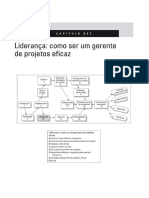 G5-Lideranca-Gerenciamento de Projetos - Cap 10