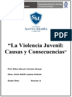 La Violencia Juvenil-Causas y Consecuencias