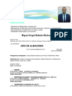 Curriculum-Vitae 2